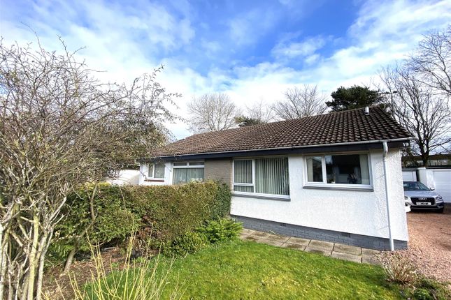Thumbnail Semi-detached bungalow to rent in Huntingtower Crescent, Perth