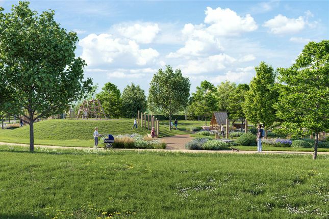 Communal Gardens