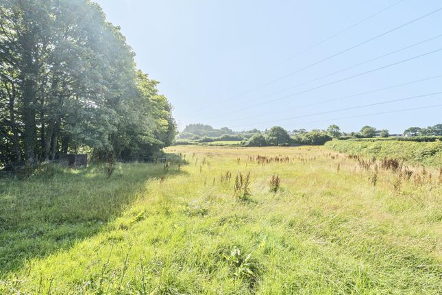 Threadneedle, Oldways End, Tiverton photo 4