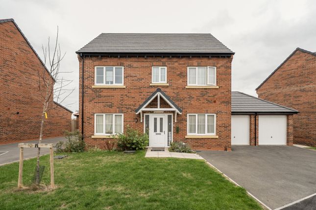 1365395-1-68E8d6A...