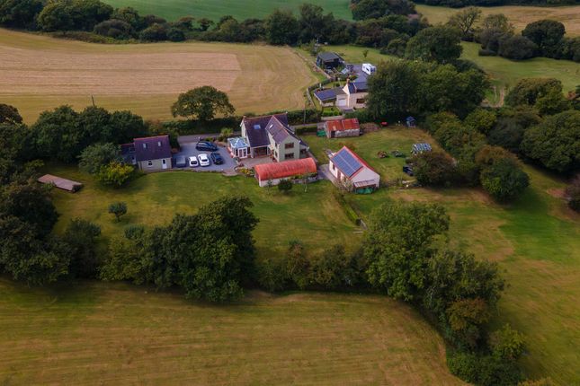 "Langdon Bridge Farm", Begelly, Kilgetty photo 4