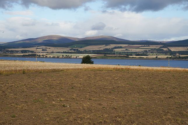 Thumbnail Land for sale in Balblair, Dingwall, Ross-Shire, Highland