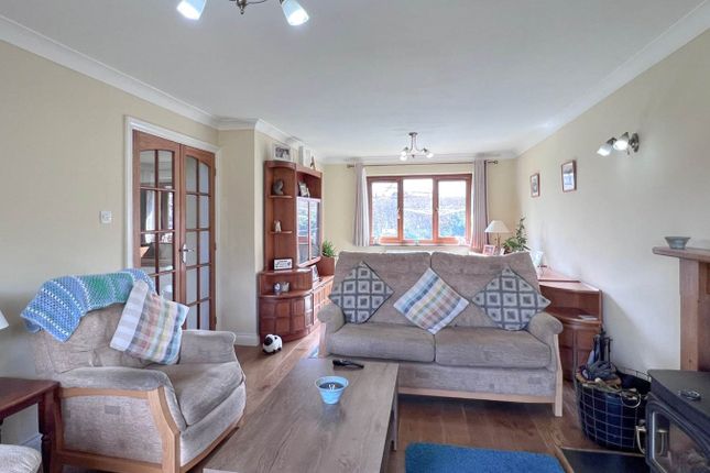 The Willow, Llanwrtyd Wells photo 4