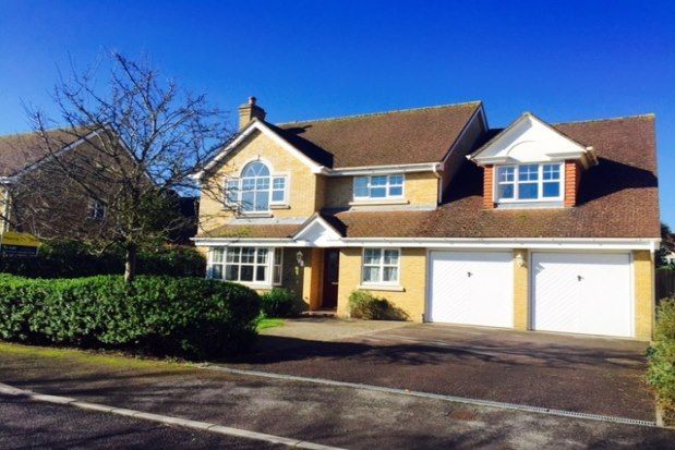 Thumbnail Property to rent in Atherley Court, Southampton