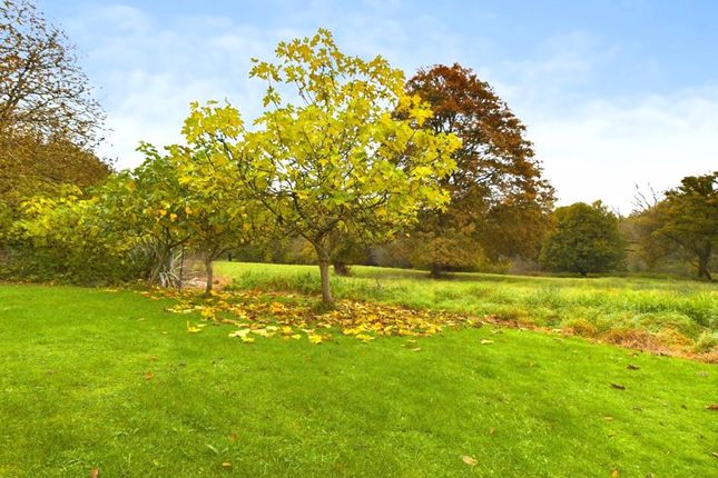 North Model Farm, Tandridge Hill Lane, Godstone photo 3