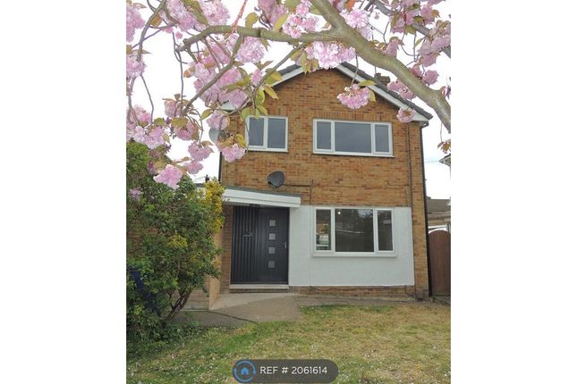 Detached house to rent in Glastonbury Close, Mansfield Woodhouse, Mansfield
