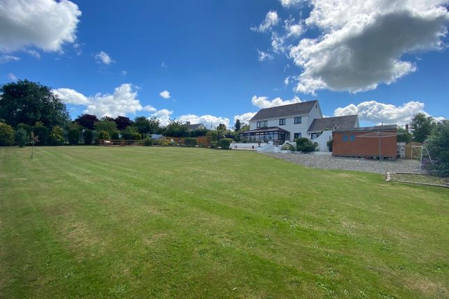Efailwen, Penrhiwllan, Llandysul photo 3