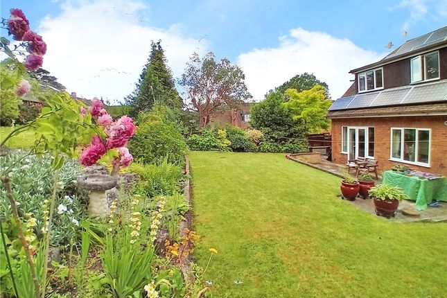 10, Basingbourne Close, Hampshire photo 4