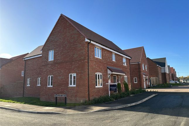 Thumbnail Detached house for sale in Foxglove Drive, Cringleford, Norwich, Norfolk