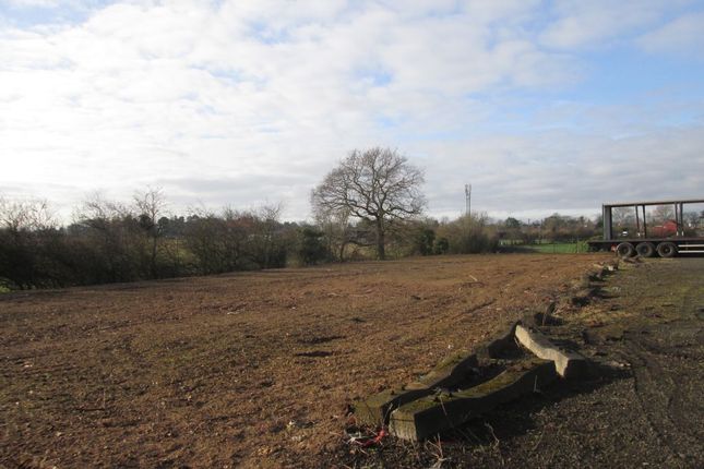 Land to let in Middleton St George, Darlington