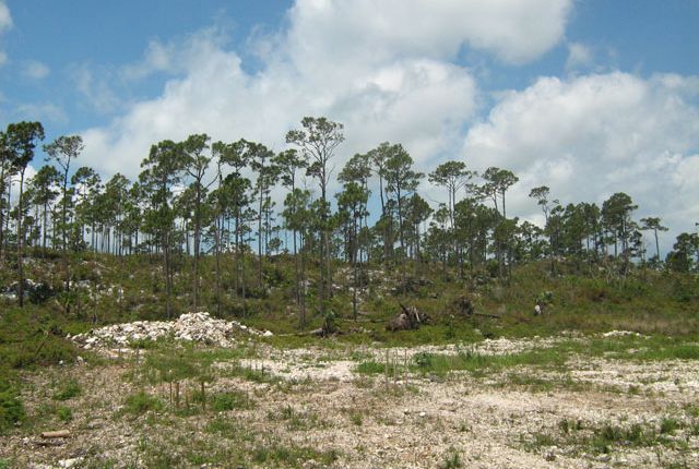 Land for sale in Great Cistern, Abaco, The Bahamas