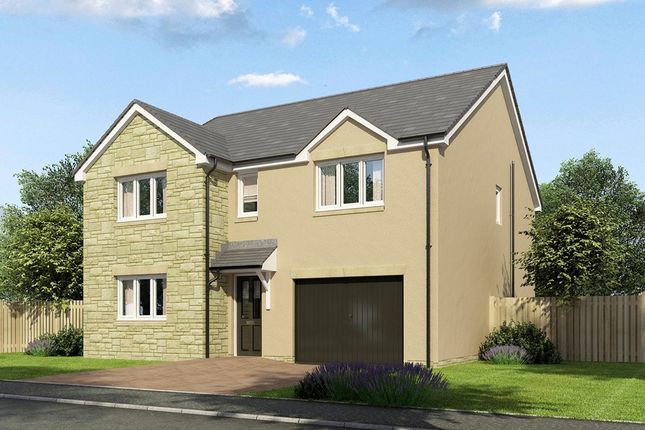 Thumbnail Detached house for sale in "The Stewart - Plot 20" at Seafield Road, Bilston, Roslin