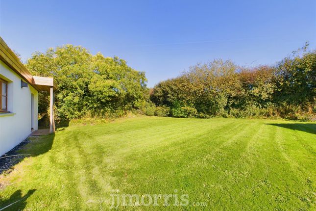Cam03686G0-Pr0184-Still003.Jpg