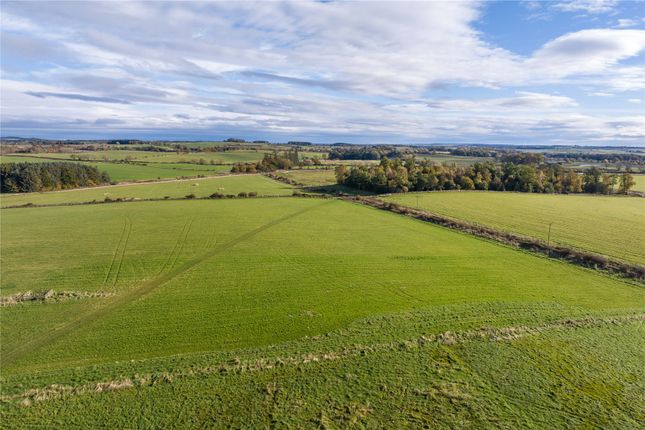 Land for sale in Greenside Farm, Hartburn, Morpeth, Northumberland
