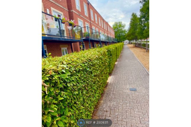 31, Racecourse Road, Newbury, RG14 photo 5
