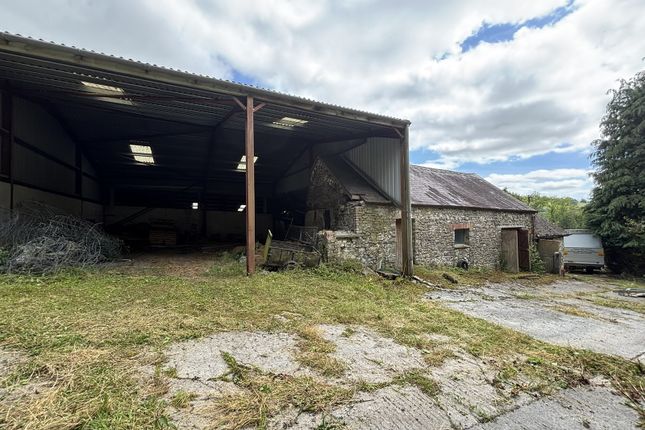 Coed Hirion, Talley, Llandeilo photo 5