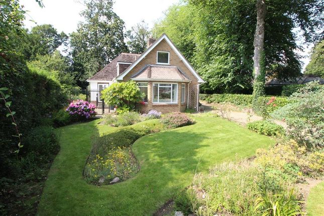 Thumbnail Detached house to rent in Rothesay Drive, Highcliffe, Christchurch, Dorset