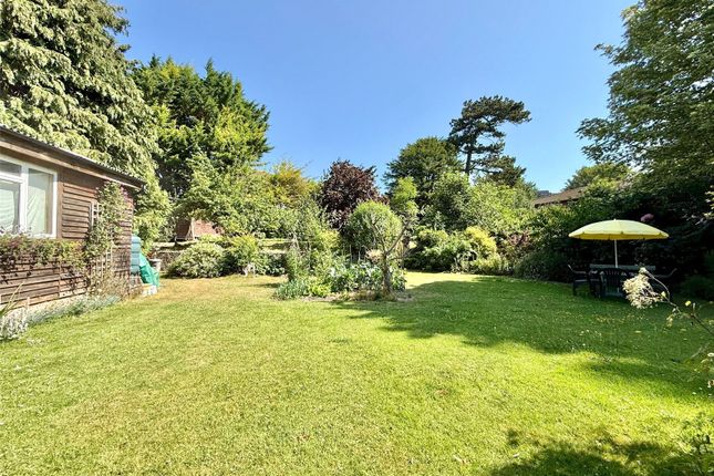 40, The Goffs, East Sussex photo 3