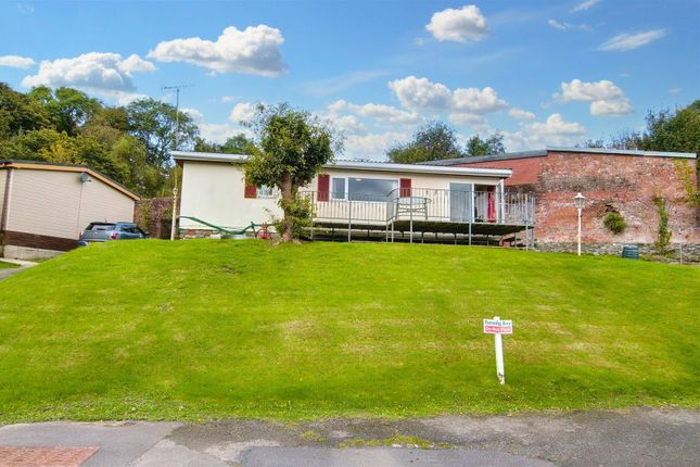 Front View And Lawn
