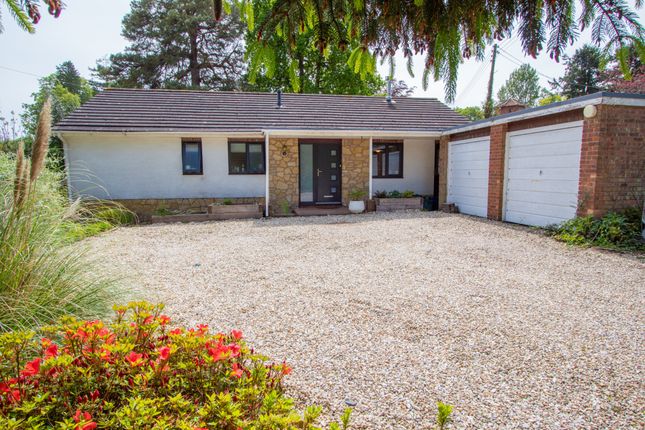Thumbnail Bungalow for sale in West Hill, Ottery St. Mary