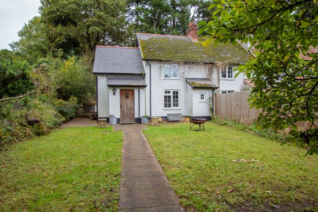 Thumbnail Cottage for sale in West Hill Road, West Hill, Ottery St. Mary