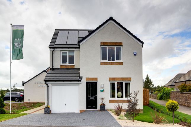 Thumbnail Detached house for sale in "The Leith" at Hartwood Road, West Calder