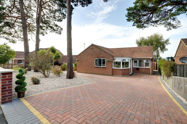 Thumbnail Detached bungalow for sale in Fern Road, Newton Abbot