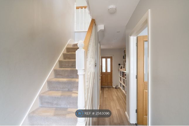 Hallway &amp; Stairs