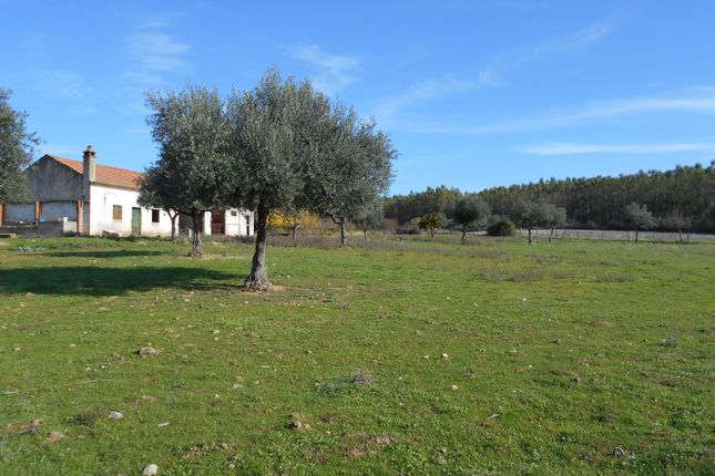 Thumbnail Farm for sale in Castelo Branco, Ladoeiro, Idanha-A-Nova, Castelo Branco, Central Portugal
