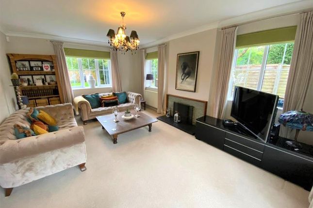 Pine Tree Cottage, Pembroke Road, Woking photo 4