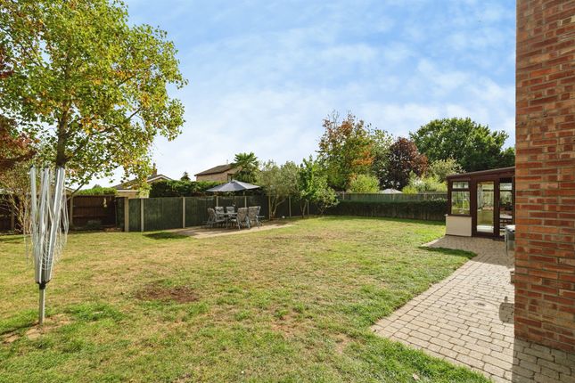 132, Willbye Avenue, Diss photo 2