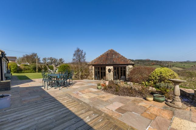 Garden And Studio