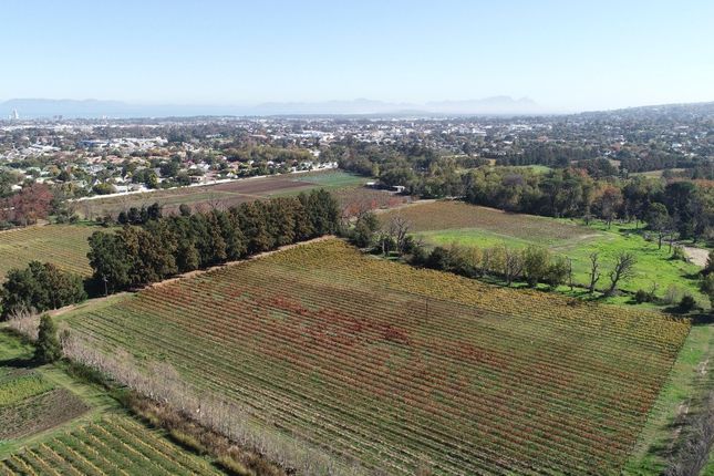 Thumbnail Farm for sale in Stellenbosch Farms, South Africa