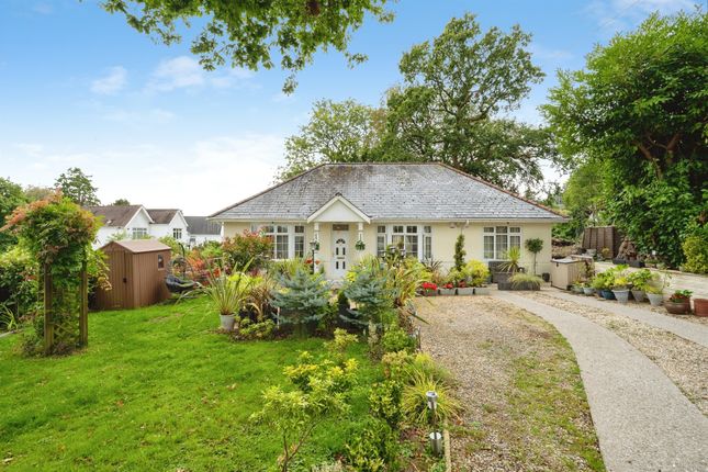 The Bungalow, Bryntawe Road, Swansea photo 3
