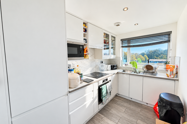 Denmark Villas, Hove photo 5