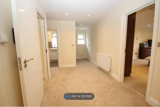 Studio  Flat, Edgwarebury Lane, Edgware photo 2