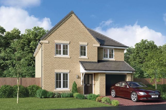 Thumbnail Detached house for sale in Dorman Gardens, South Bank, Middlesbrough