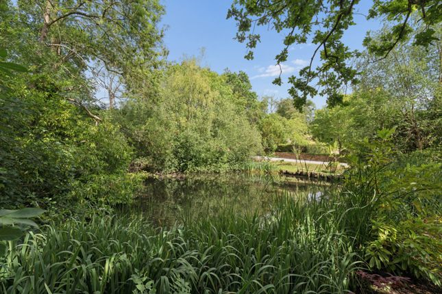 8 Camp Road, Gerrards Cross photo 4