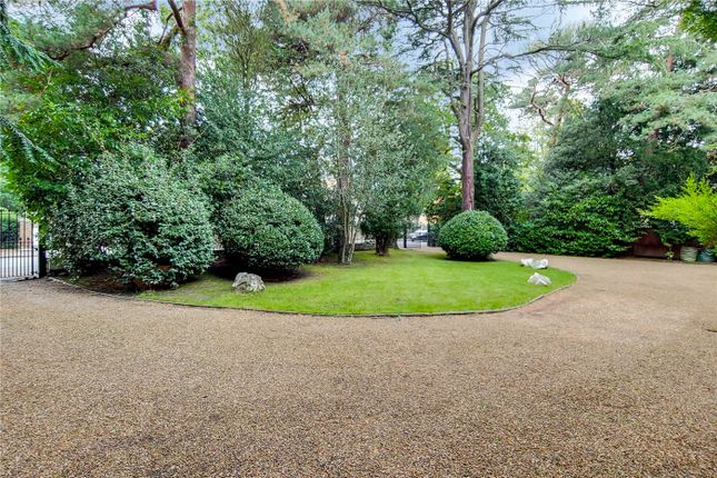 14, Sydenham Hill, Sydenham photo 4