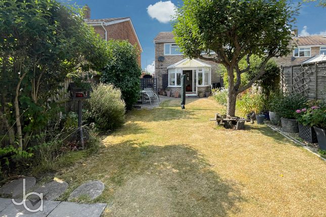 43, Rectory Road, Colchester photo 4