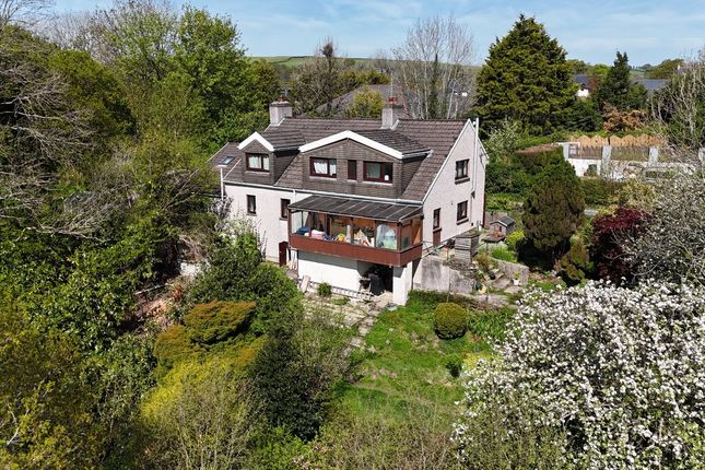 Llwynteg, Penrhiwllan, Llandysul photo 2