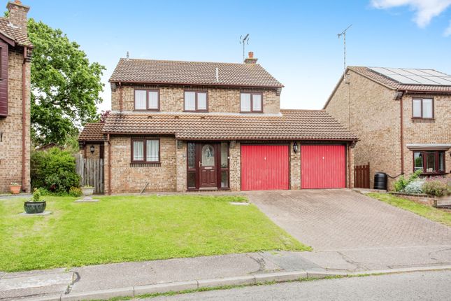 Thumbnail Detached house for sale in Macintyres Walk, Rochford, Essex