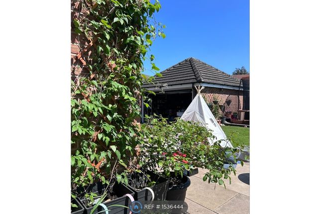 Garden Summer