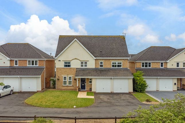 Thumbnail Detached house for sale in Alicia Close, Rugby