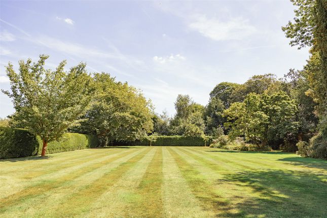 Grounds