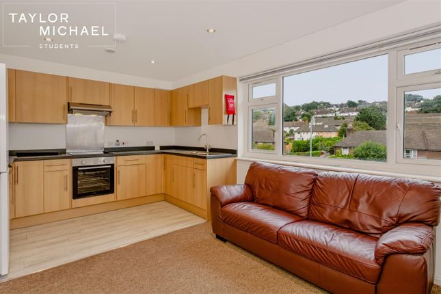 Selsfield Drive, Brighton photo 4