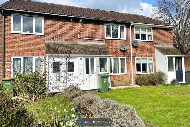 Thumbnail Terraced house to rent in Harewood Close, Eastleigh