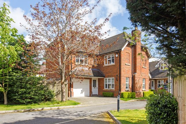 Thumbnail Detached house to rent in Willow Crescent, St.Albans