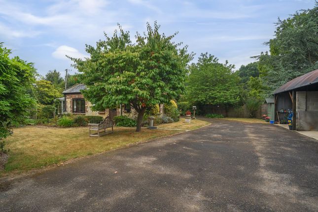 Langdale First Avenue, Chichester photo 3
