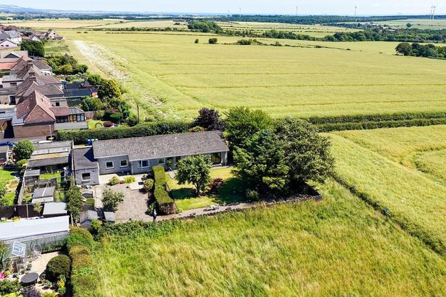 15, Lady Nina Cottages, Coaltown photo 2